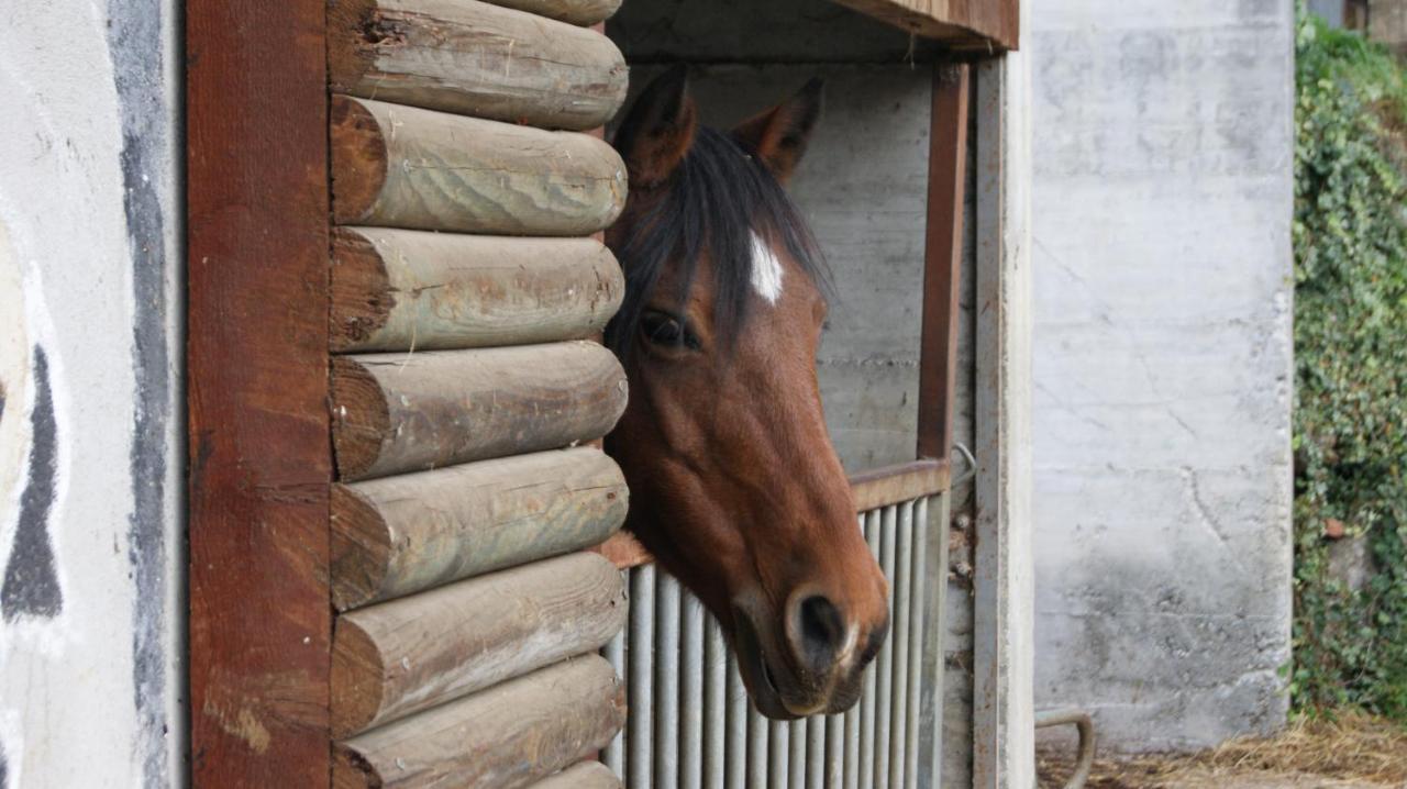 Agriturismo Scuderia Della Valle Valsecca 外观 照片